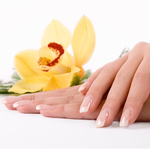 ORGANIC NAILS - manicure menu